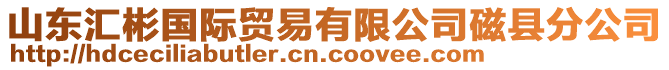 山東匯彬國(guó)際貿(mào)易有限公司磁縣分公司