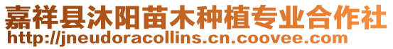 嘉祥縣沐陽苗木種植專業(yè)合作社