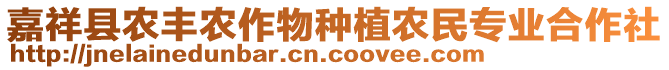 嘉祥縣農(nóng)豐農(nóng)作物種植農(nóng)民專業(yè)合作社