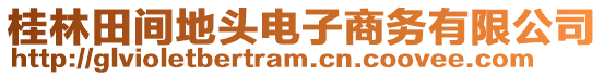 桂林田間地頭電子商務(wù)有限公司