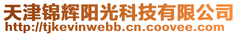 天津錦輝陽光科技有限公司