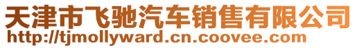 天津市飛馳汽車銷售有限公司