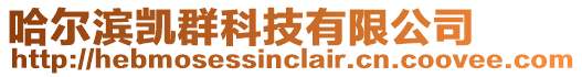 哈爾濱凱群科技有限公司