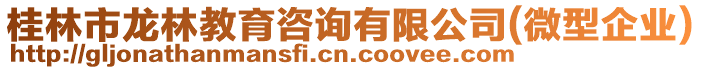 桂林市龍林教育咨詢有限公司(微型企業(yè))