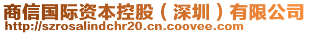 商信國際資本控股(深圳)有限公司