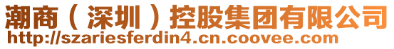 潮商(深圳)控股集團有限公司