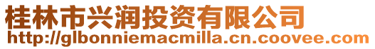 桂林市興潤投資有限公司