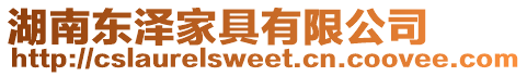 湖南東澤家具有限公司