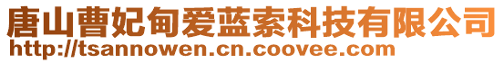 唐山曹妃甸愛(ài)藍(lán)索科技有限公司