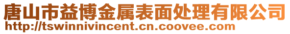 唐山市益博金屬表面處理有限公司