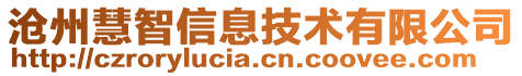 滄州慧智信息技術(shù)有限公司