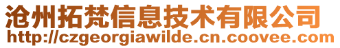 滄州拓梵信息技術有限公司