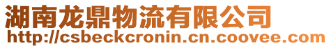 湖南龍鼎物流有限公司