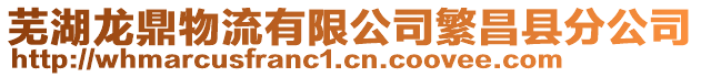 蕪湖龍鼎物流有限公司繁昌縣分公司