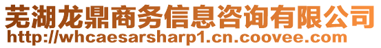 蕪湖龍鼎商務(wù)信息咨詢有限公司