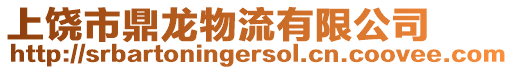 上饒市鼎龍物流有限公司