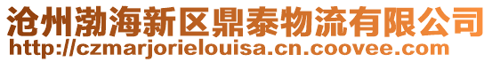 滄州渤海新區(qū)鼎泰物流有限公司