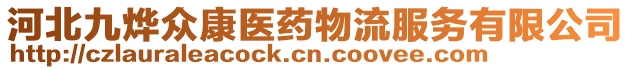 河北九燁眾康醫(yī)藥物流服務有限公司