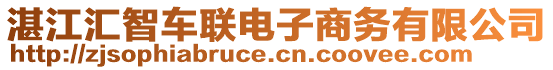 湛江匯智車聯(lián)電子商務(wù)有限公司