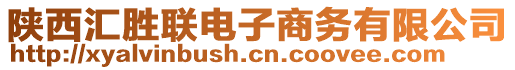 陜西匯勝聯(lián)電子商務(wù)有限公司