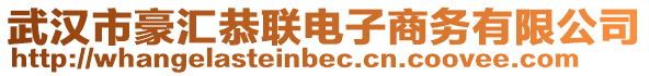 武漢市豪匯恭聯(lián)電子商務(wù)有限公司