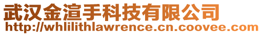 武漢金渲手科技有限公司