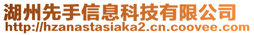 湖州先手信息科技有限公司