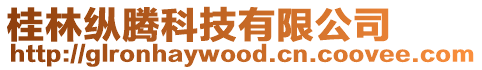 桂林縱騰科技有限公司