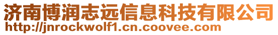 濟南博潤志遠信息科技有限公司
