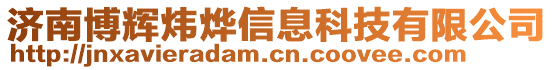 濟南博輝煒燁信息科技有限公司