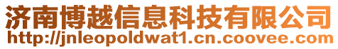 濟(jì)南博越信息科技有限公司