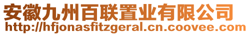 安徽九州百聯(lián)置業(yè)有限公司