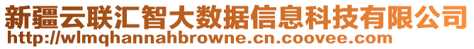 新疆云聯(lián)匯智大數(shù)據(jù)信息科技有限公司