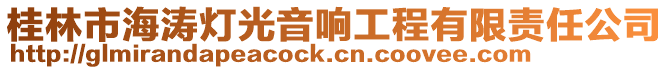 桂林市海濤燈光音響工程有限責任公司