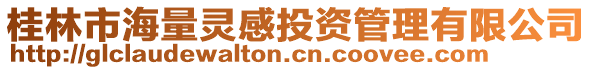 桂林市海量靈感投資管理有限公司