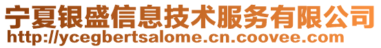寧夏銀盛信息技術服務有限公司