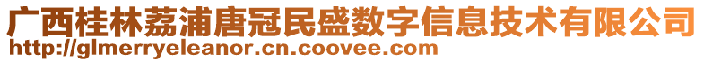 廣西桂林荔浦唐冠民盛數(shù)字信息技術(shù)有限公司