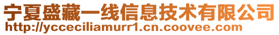 寧夏盛藏一線信息技術有限公司
