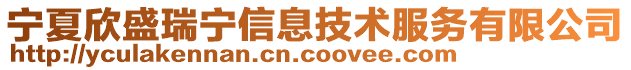 寧夏欣盛瑞寧信息技術(shù)服務有限公司