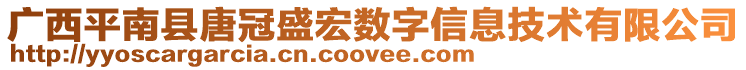 廣西平南縣唐冠盛宏數字信息技術有限公司