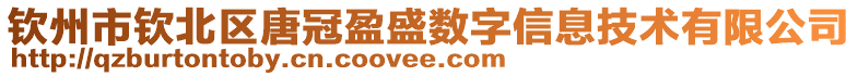 欽州市欽北區(qū)唐冠盈盛數(shù)字信息技術(shù)有限公司