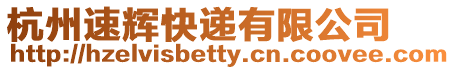 杭州速輝快遞有限公司