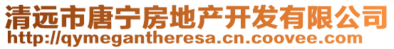 清遠市唐寧房地產開發有限公司