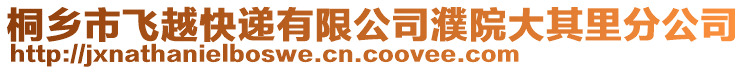 桐鄉市飛越快遞有限公司濮院大其里分公司