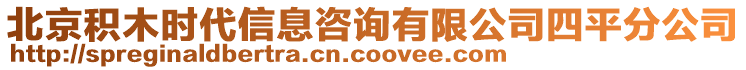 北京積木時代信息咨詢有限公司四平分公司