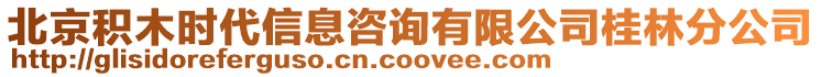 北京積木時代信息咨詢有限公司桂林分公司