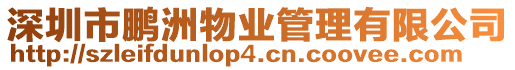 深圳市鵬洲物業管理有限公司