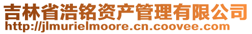 吉林省浩銘資產(chǎn)管理有限公司