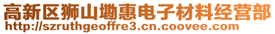 高新區獅山墈惠電子材料經營部