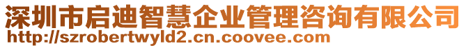 深圳市啟迪智慧企業(yè)管理咨詢有限公司